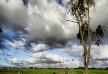 熊猫体育：2025中国自由式小轮车联赛启动 赛事焕新升级2025-03-13.