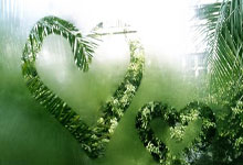 熊猫体育：16岁魏祥鑫出战中超！上村健一：若有能力，越早踢上顶级联赛越好.