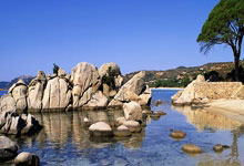 熊猫体育：2025中国自由式小轮车联赛启动 赛事焕新升级2025-03-13.